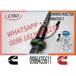 Fuel Injector Assembly F00BLOJ017 F00BLOJ018 0986435611 F00BLOJ019 Y431K05246 For Qsk19 Engine