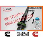 Fuel Injector Assembly F00BLOJ017 F00BLOJ018 0986435611 F00BLOJ019 Y431K05246 For Qsk19 Engine for sale