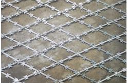 China Welded Razor Barbed Wire Fence With 25-35mm Barbs And 75X150mm Mesh supplier