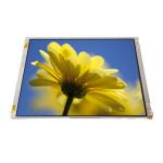 LTM10C306 10.4 inch 1024*768 TFT LCD Screen Display Module for sale