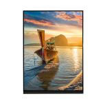 7.9 Inch 1536×2048 LCD Screen Display Panel LQ079L1SX01 For IPad Mini 2 3 for sale