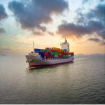 International Sea Freight Forwarding DDP From China To India for sale