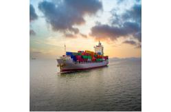 China International Sea Freight Forwarding DDP From China To India supplier