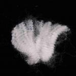 Recycled PET 8D Flame Retardant Fiber Fireproof Polyester Fiber For Filling Material