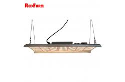 China High Lumen Hydroponics 330W G2 Quantum Board LED Grow Lights supplier