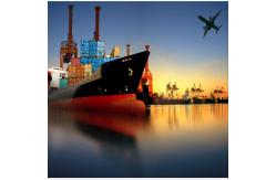 China DDP International Sea Freight Forwarding From China To Singapore supplier