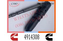 China Diesel Engine Fuel Injector 4914308 3032392 4914325 For Cummins NT855 Engine supplier