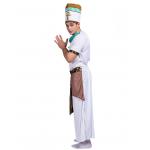 Customize Pharaoh Cosplay Set for Adults Party Performance Halloween Customized