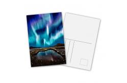 China Animal Design 3D Lenticular Printing Service Custom Lenticular Postercard supplier