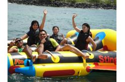 China Yellow 0.9mm PVC tarpauli Inflatable Flying Fish Boat With Handles supplier