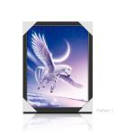 PET / PP Wild Animal Lenticular Flip Effect / 3D Lenticular Printing Services for sale