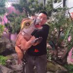 Amusement Park Products Robotic Animatronics Baby Realistic Iguanodonte Puppet for sale
