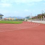 ISO IAF Certificated Self Knot Pattern Outdoor Jogging Track Eco-Friendly for sale