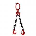 China Blacken Finished G80 2 Two Legs Crane Lifting Chain for Cargo Handling Solutions for sale