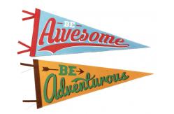 China Waterproof Triangle Flag Banners supplier