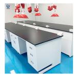750mm Width Lab Wall Bench
