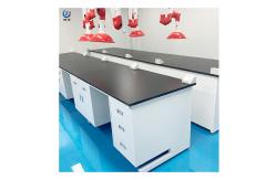 China 750mm Width Lab Wall Bench supplier