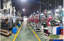China Areca Palm manufacturer