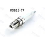R5B12-77 Spark Plug for Champion RB77WPCC/KB77WPCC/FB77WPCC Hex 22.2mm Reach 20.6mm for sale