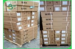 China 53gsm A1 Natural Tracing Paper In Roll For Manual Drafting And Printing supplier