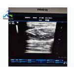 Abnormal Image Ultrasound Machine Repair Service Mindray DC-3 for sale