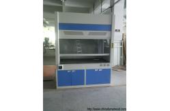 China Safety Lab Fume Hood Window Lift Freely With Hidden Fluorescent Lamp supplier
