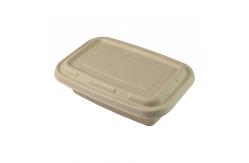 China Disposable Biodegradable Sugarcane Bagasse Food Container Set Rectangle supplier