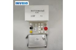 China HAV IgM Elisa Test Kit Plate Human Use 96 Tests Per Box supplier