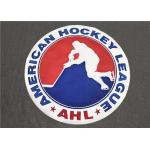 Large Size Hockey Sports Team Embroidered Patches Sew On Jersey 20cm*20cm for sale