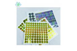 China UV Printing Tamper Evident Security Labels , Hologram Stickers For Certificates supplier