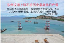 China 180kW Sand Soil Improvement Bottom Feed Vibro Float supplier