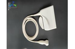 China  S8-3 Ultrasound Transducer Probe Repair Service Acoustic Lens Replacement supplier