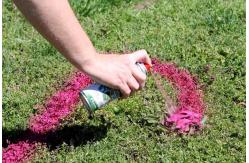 China Aeropak Temporary Marking Spray Paint Turf Spray Paint For Real Grass supplier