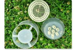 China Plastic Wasp Trap Bee Hive Equipment Hornet Bee Trap Catcher Wasp Trap supplier