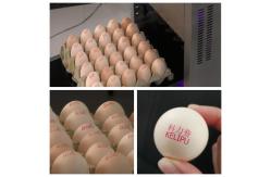 China Original Egg Print Silver Head For Inkjet Printer One Year Warranty supplier