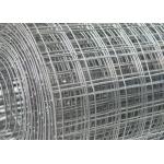 Hot - Dipped Galvanized Reinforcing Welded Wire Mesh / Plaster Wall Mesh