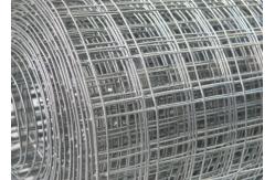 China Hot - Dipped Galvanized Reinforcing Welded Wire Mesh / Plaster Wall Mesh supplier