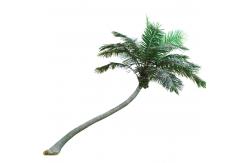 China Large S Shape Artificial Coconut Palm Tree Height 4-15m UV Resistance supplier