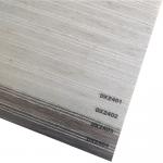 China DX2401 Latest Design Polyester UV Sunshade Zebra Blind Curtain Fabric for sale