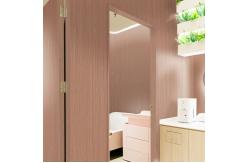 China RELLE Environmental Protection Wood Grain Floor With Impact Sound Insulation supplier