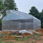 150 200 Micron Commercial Sustainable Greenhouse Farming Modern With 1*2m Door for sale