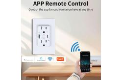 China 15A 125V Wifi Controlled Power Outlet With PD20W Fast Charging supplier