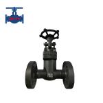API 602 Standard Class 150 SS304 Bellow Seal A105 Forged Gate Valve for sale