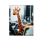 Eco - Friendly 3D Lenticular Photo For Store With PS / MDF Frame
