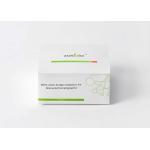 2019-NCoV Ag Rapid Test Kit ( Immunochromatography ) Precautions for sale
