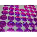 Custom Holographic Stickers Printing 3D Hologram Labels With Design Non-Transferable