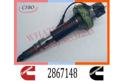 China Diesel Engine Fuel Injector 2867148 2882078 For Cummins QSK19 QSK60 Engine supplier