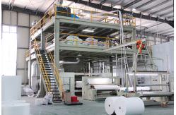 China Non Woven Shopping Bags manufacturer