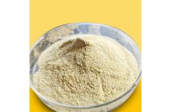 China Delaying Aging α-Amylase Fungal Alpha Amylase For Bread Making supplier