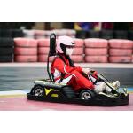 Pedal Karting Electric Go Kart For Kids , 750w Adult Mini Go Kart for sale